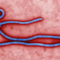 Ebola and Flu Season – Dangerous Combination